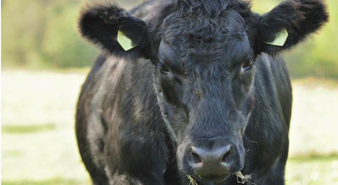 Biosecurity misconduct revealed by cooperative investigation