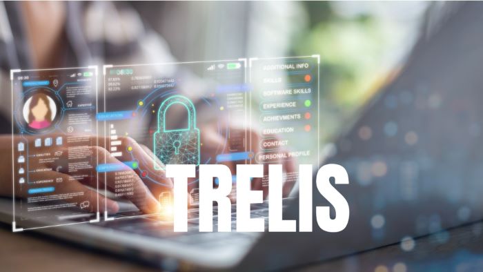 CCC trelis cover page - image of person typing at keyboard and accessing confidential information