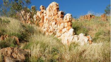 Halls Creek